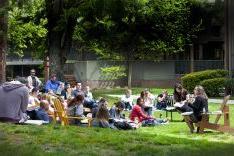 Law students on the quad